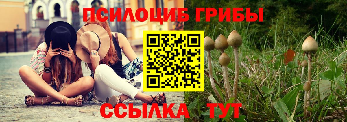 Псилоцибиновые грибы MAGIC MUSHROOMS Ковров